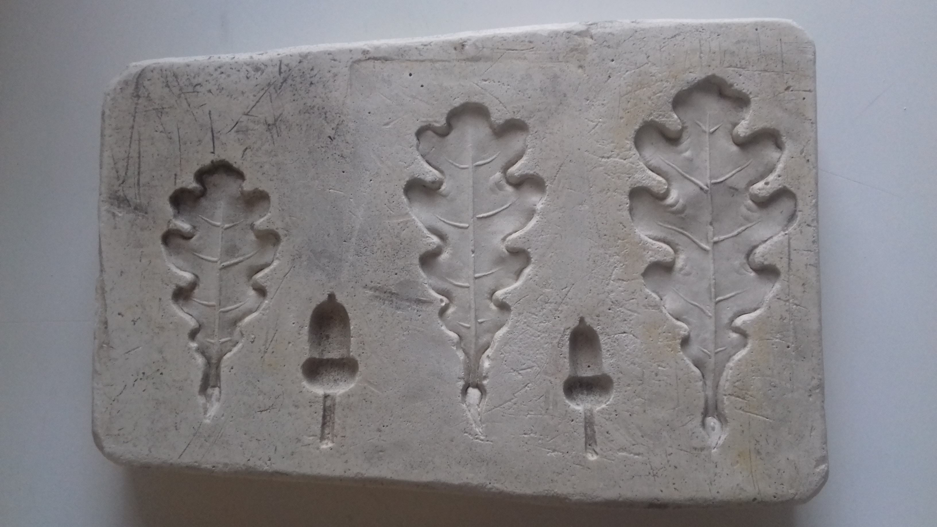 Negativform Detail Eichenblätter und Eicheln